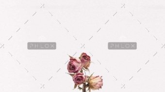 demo-attachment-1111-tanalee-youngblood-fsdWYNTymjI-unsplash-1024x1024